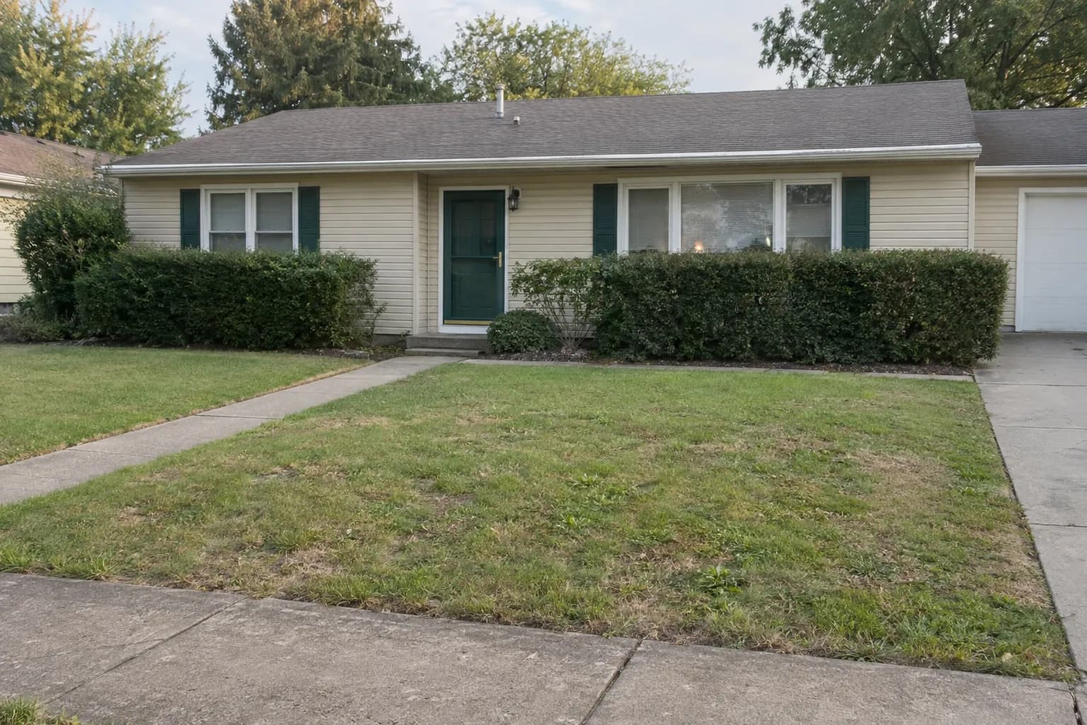 A plain front yard with lawn and boxy shrubs